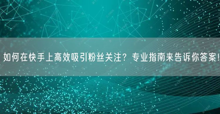 如何在快手上高效吸引粉丝关注？专业指南来告诉你答案！