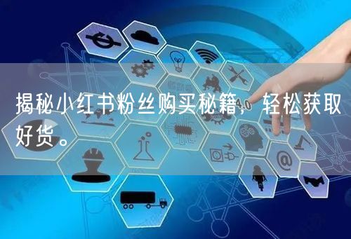 揭秘小红书粉丝购买秘籍，轻松获取好货。
