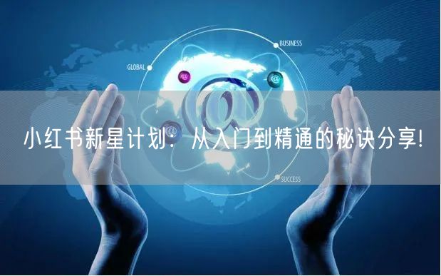 小红书新星计划：从入门到精通的秘诀分享!