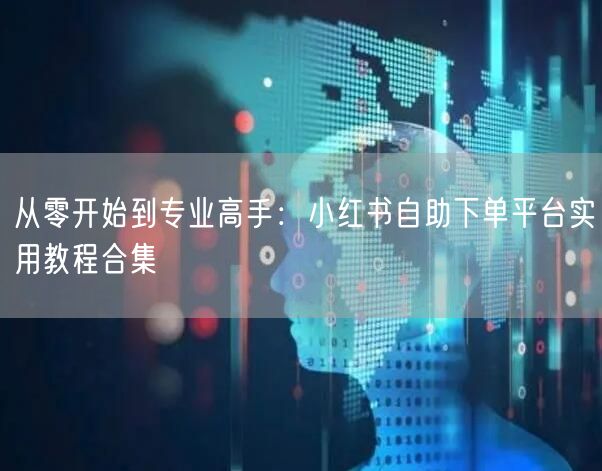 从零开始到专业高手：小红书自助下单平台实用教程合集
