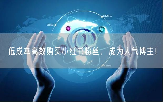低成本高效购买小红书粉丝，成为人气博主！