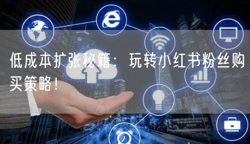 低成本扩张秘籍：玩转小红书粉丝购买策略！