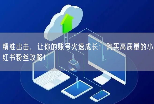 精准出击，让你的账号火速成长：购买高质量的小红书粉丝攻略！