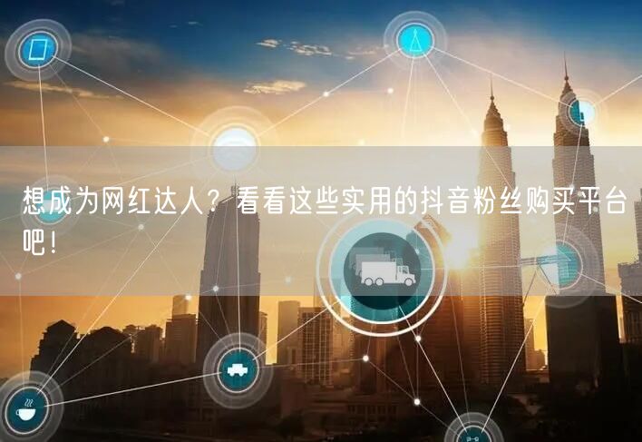 想成为网红达人？看看这些实用的抖音粉丝购买平台吧！