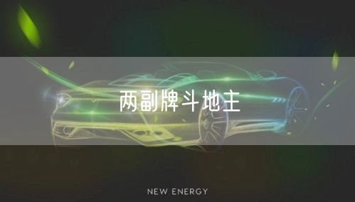 两副牌斗地主