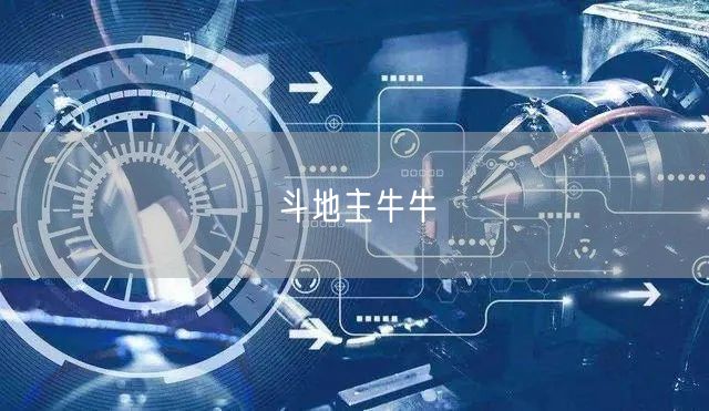 斗地主牛牛